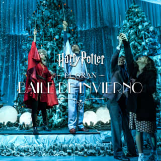 Harry Potter: A Yule Ball Celebration