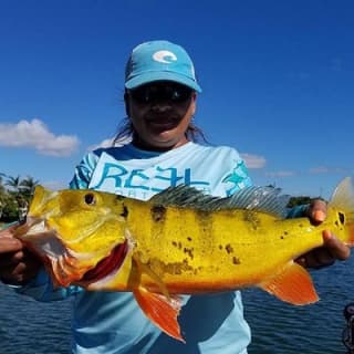 Peacock Bass Fishing Trips Near Miami Florida