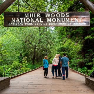 Muir Woods & Sausalito: Morning Tour from San Francisco
