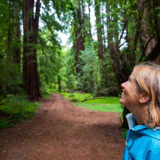 Muir Woods & Sausalito: Morning Tour from San Francisco