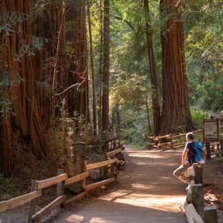 Muir Woods & Sausalito: Morning Tour from San Francisco