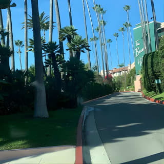 Authentic 3-Hour Hollywood to Beverly Hills Tour