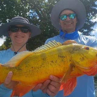 Peacock Bass Fishing Trips Near Miami Florida