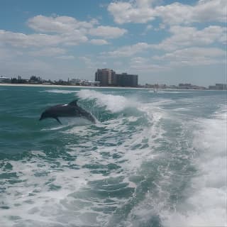 Sea Screamer Boat Cruise in Clearwater Beach with Transport