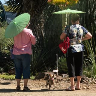 Ruth Bancroft Garden General Admission Ticket