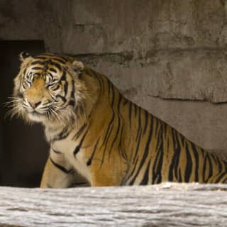 Entradas para el Zoo de Barcelona