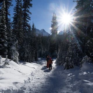 Snowshoeing in Kananaskis