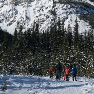 Snowshoeing in Kananaskis