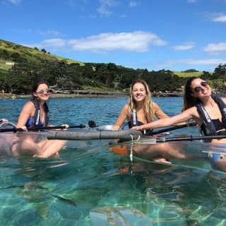 Clearyak hire at Goat Island Marine Reserve