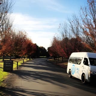 Laid back,Small-Group Yarra Valley Wine Tour :Wine,Gin,Cider+more