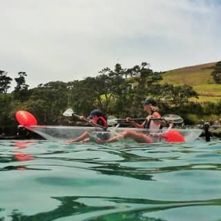 Clearyak hire at Goat Island Marine Reserve