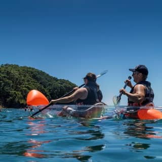 Clearyak hire at Goat Island Marine Reserve