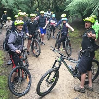 Easy Bike Tour - Mt Wellington Summit Descent & Rainforest Ride