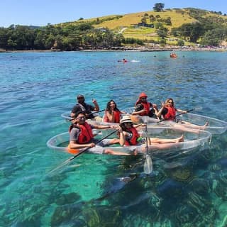 Clearyak hire at Goat Island Marine Reserve