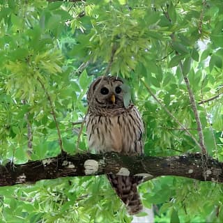 Wild & Scenic Loxahatchee River Guided Tour