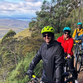 Easy Bike Tour - Mt Wellington Summit Descent & Rainforest Ride