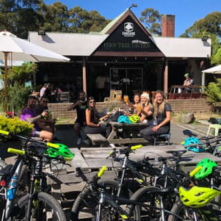 Easy Bike Tour - Mt Wellington Summit Descent & Rainforest Ride