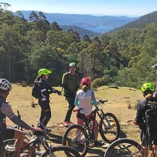 Easy Bike Tour - Mt Wellington Summit Descent & Rainforest Ride