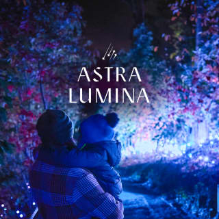 Astra Lumina: A Night Walk Amongst The Stars