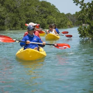 Key West: Island Eco Tour from Miami with Kayak and Snorkeling