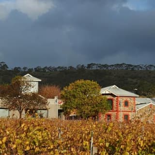 Penfolds Magill Estate Iconic Experience in adelaide on the