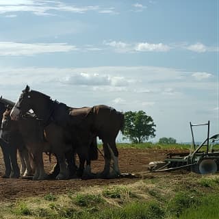 Unique Amish Immersion in Lancaster