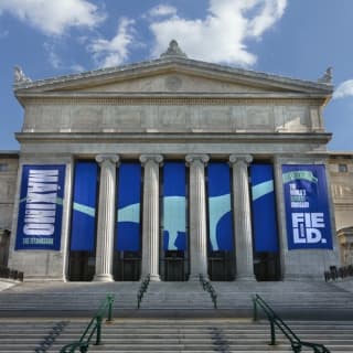 The Field Museum of Natural History: Early Access + Guided Tour + Exhibitions