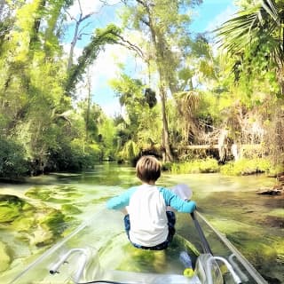 Rock Springs 2-Hour Glass Bottom Guided Kayak Eco Tour