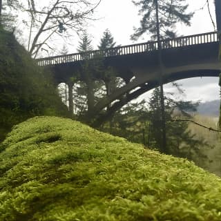 Explore Columbia River Gorge Half-Day Small-Group Tour 