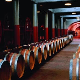 Penfolds Magill Estate Iconic Experience