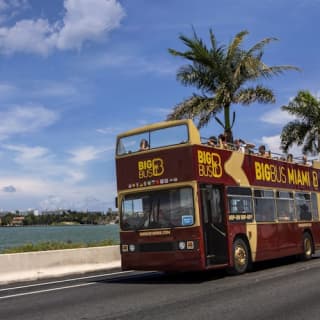 Hop-on Hop-off Bus Miami