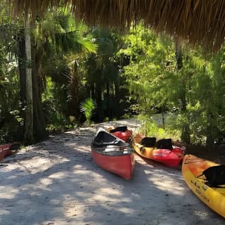 Wild & Scenic Loxahatchee River Guided Tour