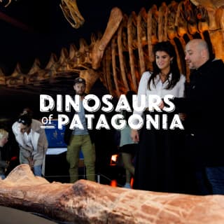 Dinosaurs of Patagonia