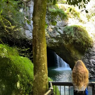 Premium Springbrook Natural Bridge, Glow Worm Cave & Skywalk