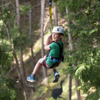 Small-Group Zipline Adventure in Queenstown