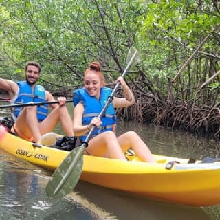 Mangrove Jungle Exploration on SUP.Kayak