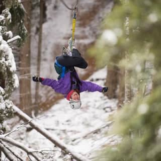 Small-Group Zipline Adventure in Queenstown