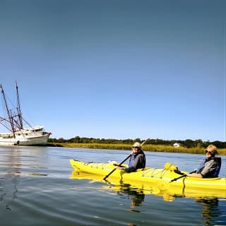 2-Hour Guided Kayak Eco Tour in Charleston