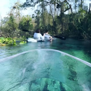 Rock Springs 2-Hour Glass Bottom Guided Kayak Eco Tour