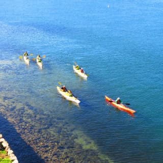 Half-Day Sydney Middle Harbour Guided Kayaking Eco Tour 