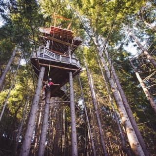 Small-Group Zipline Adventure in Queenstown