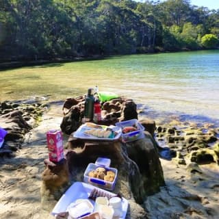 Half-Day Sydney Middle Harbour Guided Kayaking Eco Tour 