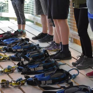 Small-Group Zipline Adventure in Queenstown