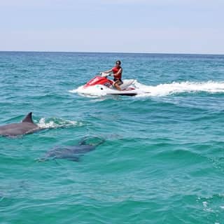 Crab Island Dolphin Jetski Adventure 