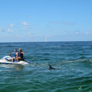 Crab Island Dolphin Jetski Adventure 