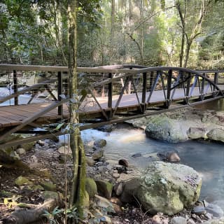 Premium Springbrook Natural Bridge, Glow Worm Cave & Skywalk