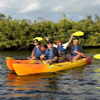 2 Hours Guided Robinson Preserve Mangrove Tour