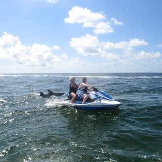 Crab Island Dolphin Jetski Adventure 