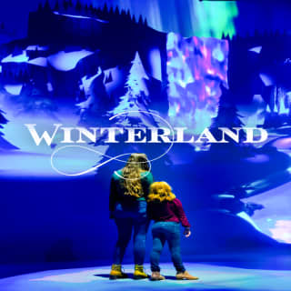 Winterland: An Immersive Holiday Experience