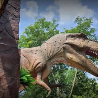Jurassic Gardens:  the ultimate dinosaur adventure